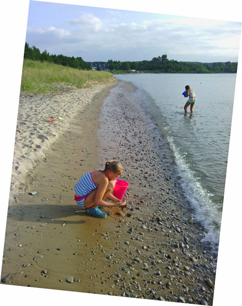 looking for petosky stones